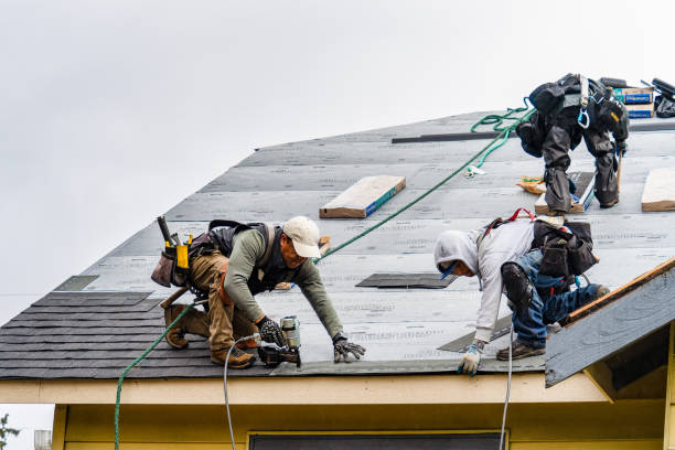Professional Gutter Installation technician working in Beverly Hills, FL