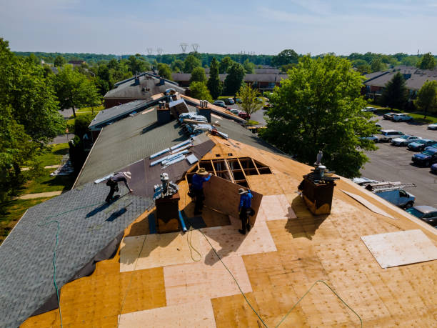 Trusted Storm Damage Roof Repair service in Beverly Hills, FL - Brentwood Metal Roofing